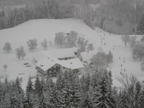 Berg-Panorama-Hof Sturmgut, Hinterstoder, Österreich